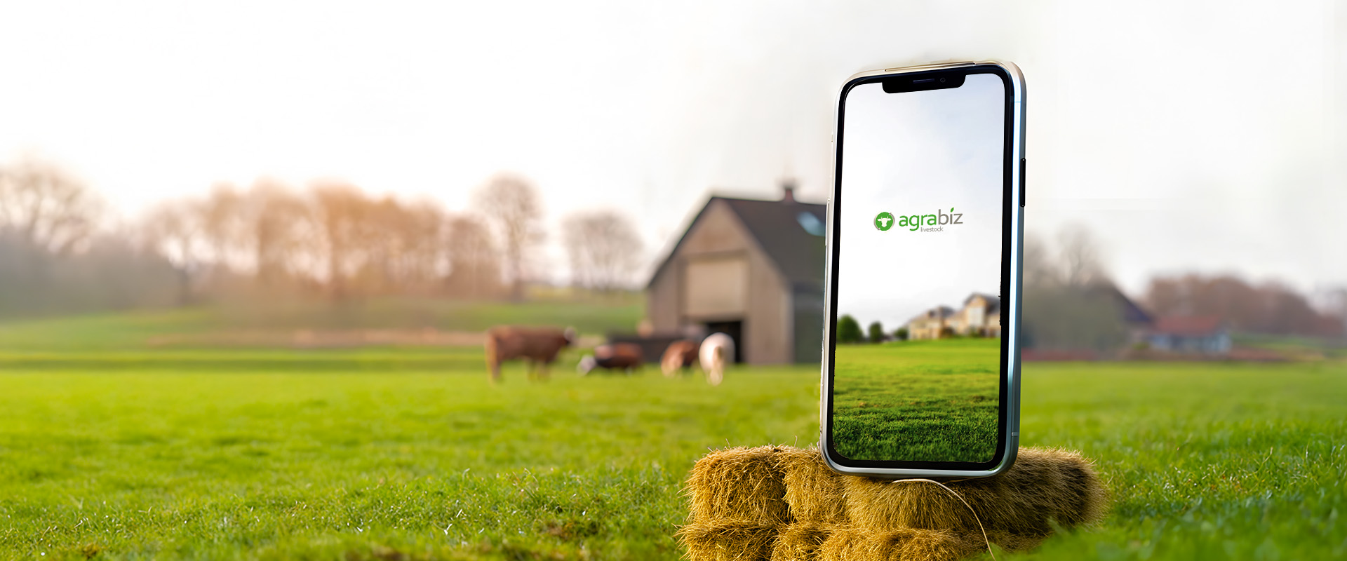 Project Illustration