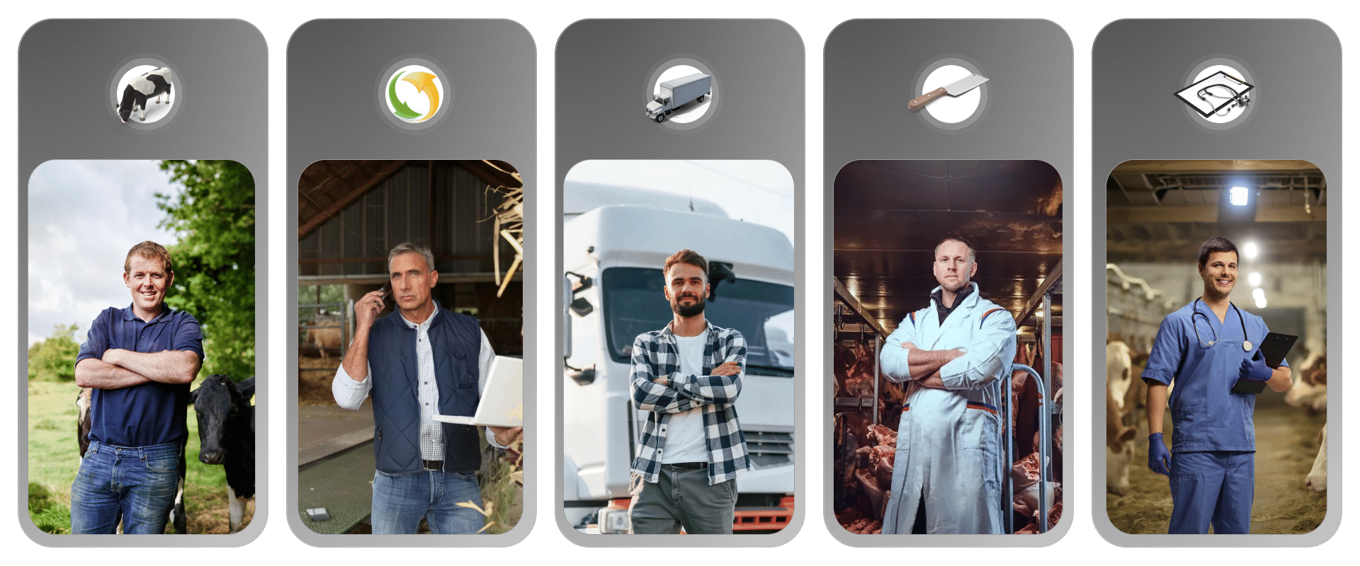 Project Illustration